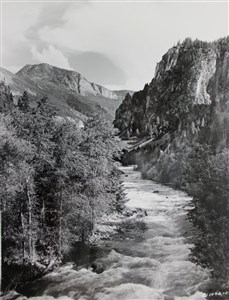 Image description is not available for 2007.009